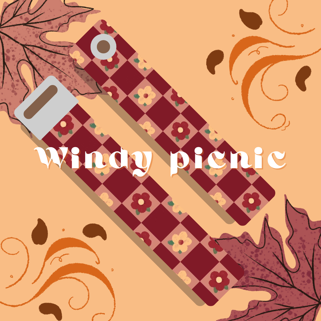 Windy Picnic